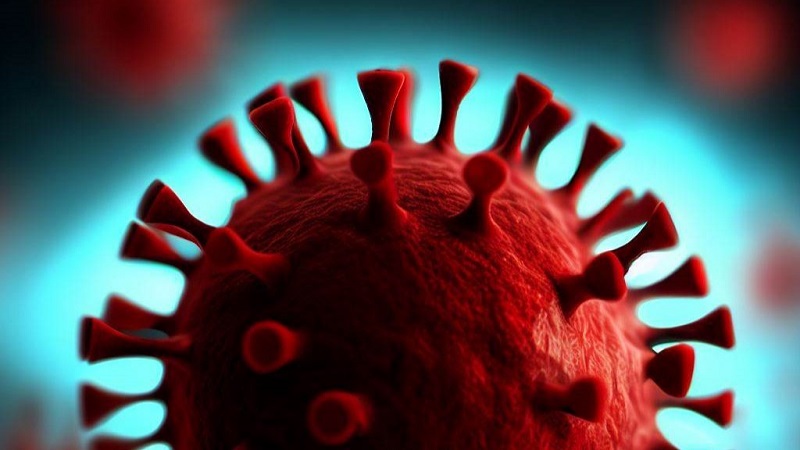 Hand Hygiene: A Crucial Defense Against the H1N1 Flu Virus 1 Flu