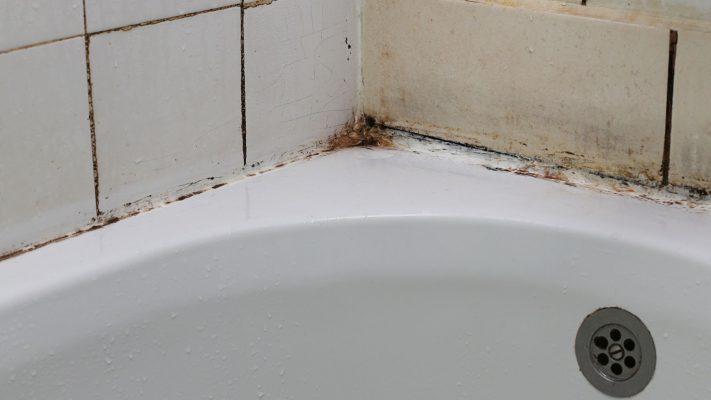 Bathroom Mold Buildup