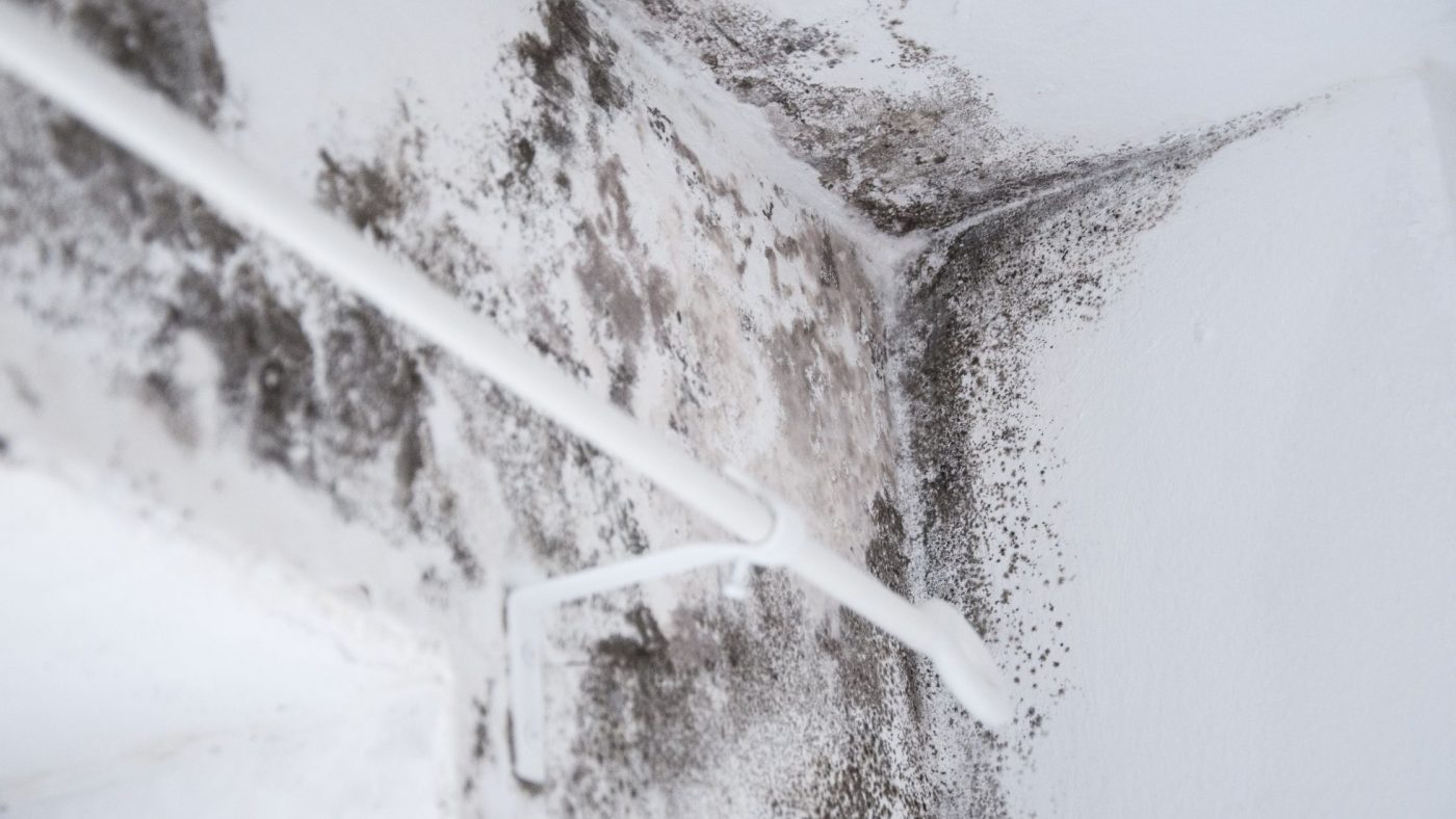 How To Prevent And Clean Bathroom Mold Buildup Sanixway