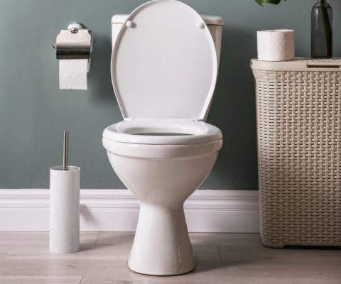 Replacing & Installing A New Toilet Seat