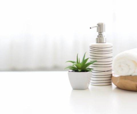 How To Keep Bugs Out Of Your Bathroom